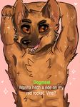  anthro bethesda black_nose blush brown_eyes brown_fur canine dog dogmeat fallout_4 fur german_shepherd humor mammal meowruby_(artist) nipples open_mouth smile teeth text tongue vinesauce 