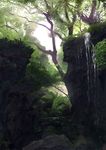  bad_pixiv_id fern fujibejifu highres moss nature no_humans original outdoors plant rock scenery sunlight tree water 