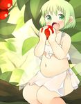  akitaka_(mcdonnell-douglas) belly berry blush fairy_wings fang food fruit green_eyes green_hair in_tree looking_at_viewer midriff navel open_mouth original plump short_hair sitting skirt solo tree wings 
