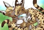  anthro big_breasts breast_fondling breasts chest_tuft duo feline female female/female fondling fur licking mammal ringed_tail smile somenity spots spotted_fur tongue tongue_out tuft 