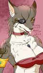 armband artist_request beastsurvivor big_breasts bra breasts brown_fur canine choker cleavage clothed clothing dog eye_patch eyepatch eyewear female fur fur_markings furry japanese_text mammal necklace red_eyes solo text tongue tongue_out tube_top underwear wolf yellow_eyes 