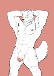  abs anthro biceps canine dog flaccid flexing grey_nipples grin husky_(artist) looking_at_viewer male mammal muscular navel nipples nude pecs penis simple_background smile solo standing uncut vein yellow_eyes 