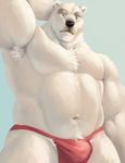  armpit_hair armpits bear biceps black_nose chest_tuft clothed clothing fur half-dressed hand_behind_head male mammal navel pecs polar_bear pubes simple_background solo speedo swimsuit the_farewelled topless tuft underwear white_fur 