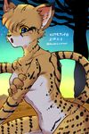  artist_request beastsurvivor blonde_hair blue_eyes blush breasts cheetah feline female furry japanese_text looking_at_viewer mammal nude open_mouth outside short_hair sitting solo text tree yellow_sclera 