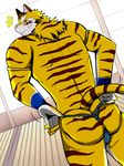  anthro bearlovestiger13 biceps feline fur looking_back male mammal muscular muscular_male solo stripes tiger wristband 