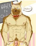  anthro body_hair bow_tie canine circumcised erection food half-closed_eyes looking_at_viewer mammal nipples nisseidog_(artist) penis pubes simple_background solo standing 