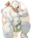  bear biceps brown_eyes bulge clothed clothing fur half-dressed kenaihand legwear looking_at_viewer male mammal muscular muscular_male navel neckerchief open_mouth polar_bear pubes socks solo topless underwear white_fur 