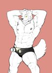  abs anthro biceps bulge canine clothed clothing dog flexing grey_nipples grin half-dressed husky_(artist) looking_at_viewer male mammal muscular navel nipples pecs simple_background smile solo speedo standing swimsuit topless underwear vein yellow_eyes 