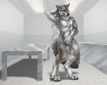  anthro brown_fur canine digitigrade fur grey_fur lykanos male mammal nude post_transformation sabretoothed_ermine solo wolf yellow_eyes 