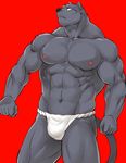  abs anthro biceps big_muscles black_nose bulge clothed clothing colored feline fundoshi fur grey_fur half-dressed male mammal mennsuke muscular navel nipples panther pecs red_background simple_background solo standing topless underwear 