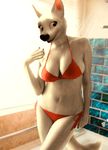  anthro anthrofied big_breasts bikini bolt bolt_(film) breasts brown_eyes canine cleavage clothed clothing crossgender disney dog edit female fur looking_at_viewer mammal oystercatcher7 photo_manipulation photomorph shower smile solo swimsuit wet white_fur 