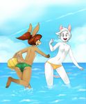  2015 anthro beach_ball brown_fur brown_hair bulge butt clothed clothing duo front_view fur girly green_eyes hair half-dressed lagomorph male mammal navel nipples oliver_jarvis open_mouth partially_submerged plantigrade playful ponytail rabbit rat rear_view red_eyes rodent running sam_(el_mapache) sea smile sparkydb speedo standing swimsuit topless water white_fur white_hair 