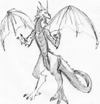  dragon drakesonofdraco open_mouth scalie simple_background sketch tagme white_background wings 