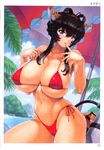  absurdres animal_ears beach bikini black_hair blue_eyes blush breasts cat_ears covered_nipples day finger_to_mouth highres huge_breasts long_hair looking_at_viewer mogudan navel non-web_source open_mouth original smile solo swimsuit tiger_ears toranoana umbrella 