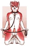  balls canine collar erection leash male mammal naughtywrens penis pinup pose presenting solo submissive teasing waiting 