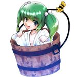  bad_id bad_pixiv_id bucket green_eyes green_hair highres in_bucket in_container kisume mikage_kirino short_hair solo touhou twintails wooden_bucket 