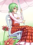  ascot bad_id bad_pixiv_id between_breasts breasts clothes_between_breasts flower green_hair impossible_clothes impossible_shirt kazami_yuuka large_breasts okaki parasol plaid plaid_skirt plaid_vest red_eyes shirt short_hair sitting skirt skirt_set solo touhou umbrella vest 
