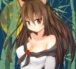  animal_ears bamboo bamboo_forest blush breasts brooch brown_hair cleavage collarbone dress forest full_moon imaizumi_kagerou jewelry large_breasts long_hair looking_at_viewer moon nature open_mouth orange_eyes sansai_(age3joe) solo touhou wide_sleeves wolf_ears 