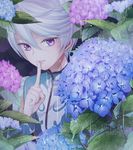  blue_flower eyebrows_visible_through_hair eyelashes finger_to_mouth flower grey_hair hair_between_eyes hydrangea index_finger_raised light_particles looking_at_viewer ma_na_roo male_focus mikleo_(tales) parted_lips plant purple_eyes purple_flower rain shushing solo tales_of_(series) tales_of_zestiria upper_body white_hair 