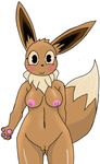  anthro blush breasts brown_fur eevee fur iguanasarecool invalid_tag nintendo nipples nude pok&eacute;mon pussy standing video_games 