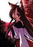  animal_ears bare_shoulders brown_hair dress fang highres imaizumi_kagerou long_hair long_sleeves looking_at_viewer looking_back mankun open_mouth red_eyes smile solo touhou wolf_ears 