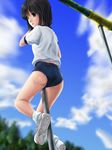  ass black_hair blue_sky blush brown_hair buruma climbing cloud day from_behind kneepits original outdoors parted_lips phazer shirt shoe_soles shoes short_hair short_sleeves sky socks solo sportswear white_footwear white_legwear white_shirt 