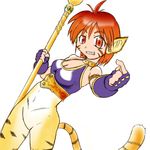  animal_ears artist_request blush breasts breath_of_fire breath_of_fire_ii bustier cat_ears cat_tail cleavage facial_mark furry gloves green_eyes orange_hair pointy_ears rinpoo_chuan short_hair solo staff tail 