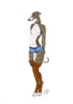  alpha_channel breasts canine clothed clothing collar digital_media_(artwork) dog female half-dressed mammal nipples shorts simple_background solo standing topless transparent_background whippet yenza 