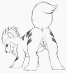  all_fours animal_genitalia anus black_and_white canine_pussy female feral growlithe looking_at_viewer looking_back monochrome nintendo nude pok&eacute;mon pussy raised_tail sketch solo video_games yaroul 