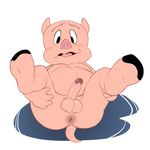  anthro anus balls butt circumcised digitigrade erection holding_legs humanoid_penis jerseydevil legs_up looking_at_viewer looney_tunes lying male mammal nude on_back open_mouth overweight penis perspective pig porcine porky_pig presenting presenting_anus solo spread_legs spreading warner_brothers 