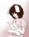  animal_ears brown_hair bunny bunny_ears inaba_tewi konton short_hair solo tears touhou 