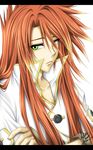  artist_request green_eyes long_hair luke_fon_fabre male_focus multicolored_hair solo tales_of_(series) tales_of_the_abyss 