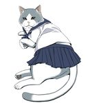  bad_pixiv_id cat lying miniru neckerchief no_humans pleated_skirt school_uniform serafuku skirt white_background 