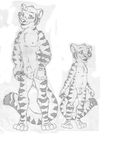  aged_down anthro balls barefoot cub duo feline front_view greyscale invalid_tag looking_at_viewer male mammal monochrome multiple_images nipples nude pawpads pencil_(artwork) sheath smile stripes tiger traditional_media_(artwork) young 