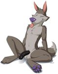  anthro balls bedroom_eyes canine chip_the_wolf fangs fur half-closed_eyes looking_at_viewer male mammal nude paws penis purple_nose seductive shiny simple_background sitting solo teeth tongue tongue_out truegrave9 white_background wolf 