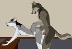  alex_wolf anthro canine duo eyes_closed female male male/female mammal mearcu nipples penis pussy sex sheath vaginal wolf wolf_tail 