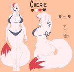  anthro big_breasts big_butt bikini breasts butt canine clothing female mammal navel onu solo swimsuit voluptuous wide_hips 