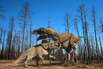  claws dinosaur fight horn open_mouth teeth triceratops tyrannosaurus_rex 