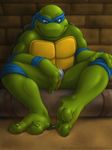  barefoot dirty_feet feet leonardo micro musky raphael riproarrex shrinking teenage_mutant_ninja_turtles toes 