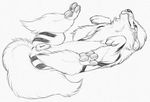  2015 animal_genitalia anus arcanine canine female feral fur looking_at_viewer mammal monochrome nintendo pencil_(artwork) pok&eacute;mon presenting pussy simple_background solo teeth tongue traditional_media_(artwork) video_games white_background yaroul 