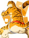  butt clothing colored feline jockstrap looking_at_viewer male mammal mooning presenting presenting_hindquarters simple_background solo tiger underwear unknown_artist 