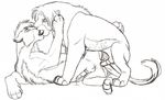  anal autumn_sunrise balls cum erection feline feral kissing lion male male/male mammal penis sex tongue 