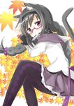  akemi_homura animal_ears argyle argyle_legwear black_hair black_hairband blush braid capelet cat_ears cat_tail fish glasses hairband kemonomimi_mode long_hair magical_girl mahou_shoujo_madoka_magica mouth_hold pantyhose pleated_skirt purple_eyes red-framed_eyewear skirt solo tail tsubaki_(tatajd) twin_braids 