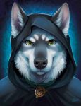  2018 anthro black_fur black_nose canine collar fur goldendruid green_eyes grey_fur hood inner_ear_fluff looking_at_viewer male mammal pendant simple_background smile solo white_fur wolf 