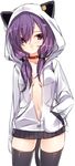  aisha_(elsword) animal_ears animal_hood bad_id bad_pixiv_id collar elemental_master_(elsword) elsword hood hoodie jacket kuro_(kuronell) naked_hoodie open_clothes open_jacket purple_eyes purple_hair sketch solo tail thighhighs zettai_ryouiki 