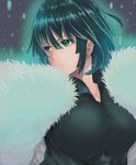  black_dress breasts commentary_request dress dyson_(edaokunnsaikouya) fubuki_(one-punch_man) fur_trim green_eyes green_hair large_breasts md5_mismatch one-punch_man short_hair solo 