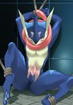  amphibian anthro blush bound erection frog greninja hi_res looking_at_viewer male nintendo penis pok&eacute;mon rope sitting solo spread_legs spreading tapering_penis video_games 緋 