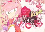  &lt;3 1girl amy_rose anthro black_nose clothing english_text female flower furry gloves green_eyes hair headband hedgehog legwear mammal pink_hair plant sega short_hair solo sonic_(series) sonic_boom sonic_the_hedgehog text unknown_artist video_games 