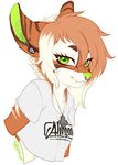  clothing feline female green_eyes looking_at_viewer mammal necklace pollo-chan shirt solo 