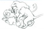 anus balls chris_mckinley disney duo erection feline feral lion male male/male mammal mufasa penis scar_(the_lion_king) the_lion_king tongue 
